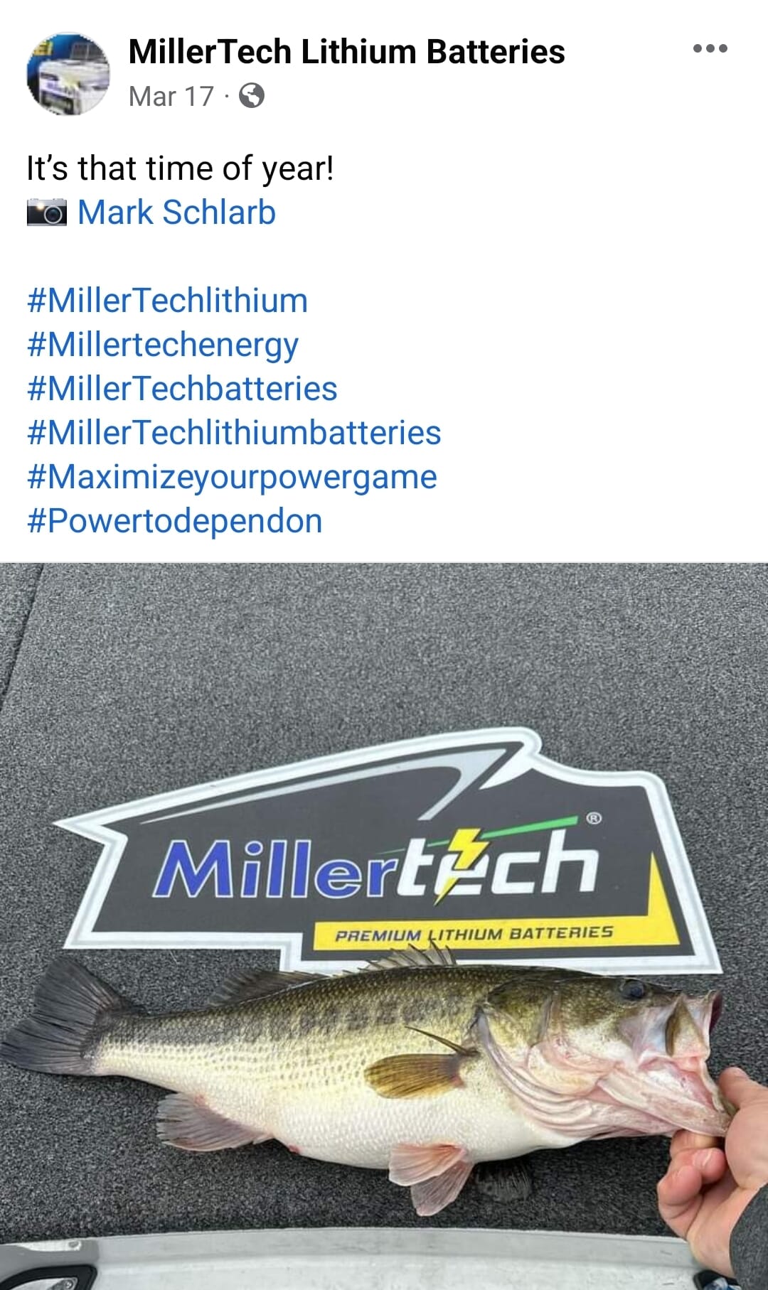 Mark schlarb product testimonial and review