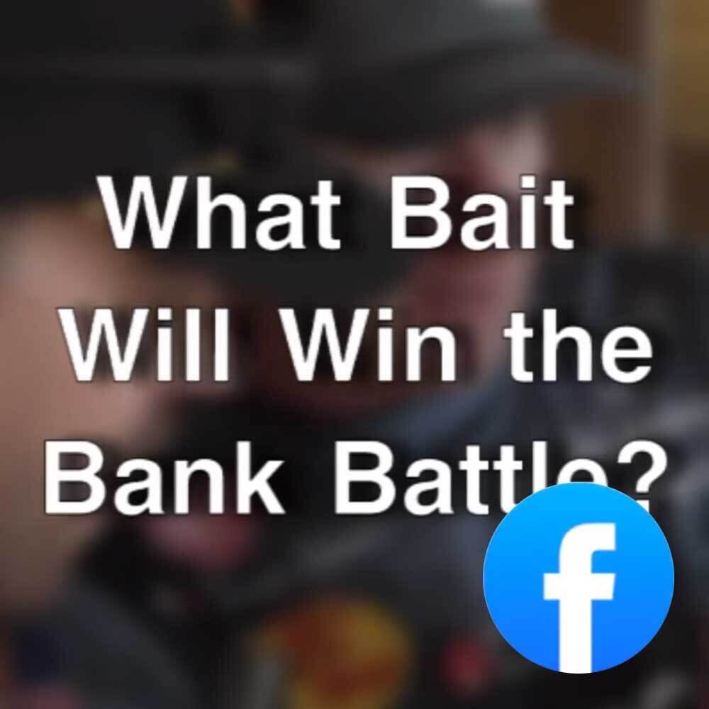 What bait will win the bank battle